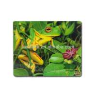 Hight Quality Plastic Lenticular 3D Picture Placemat